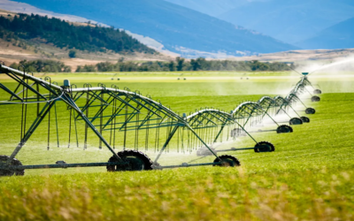 Water Issues – International & NZ