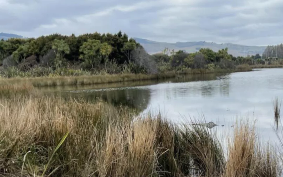 Winter Talk – The Health of Christchurch’s Waterways
